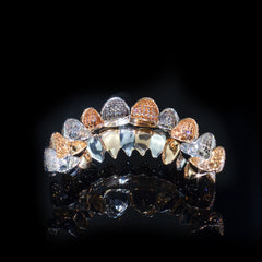 10 on 10 VVS Moissanite Diamond Grillz